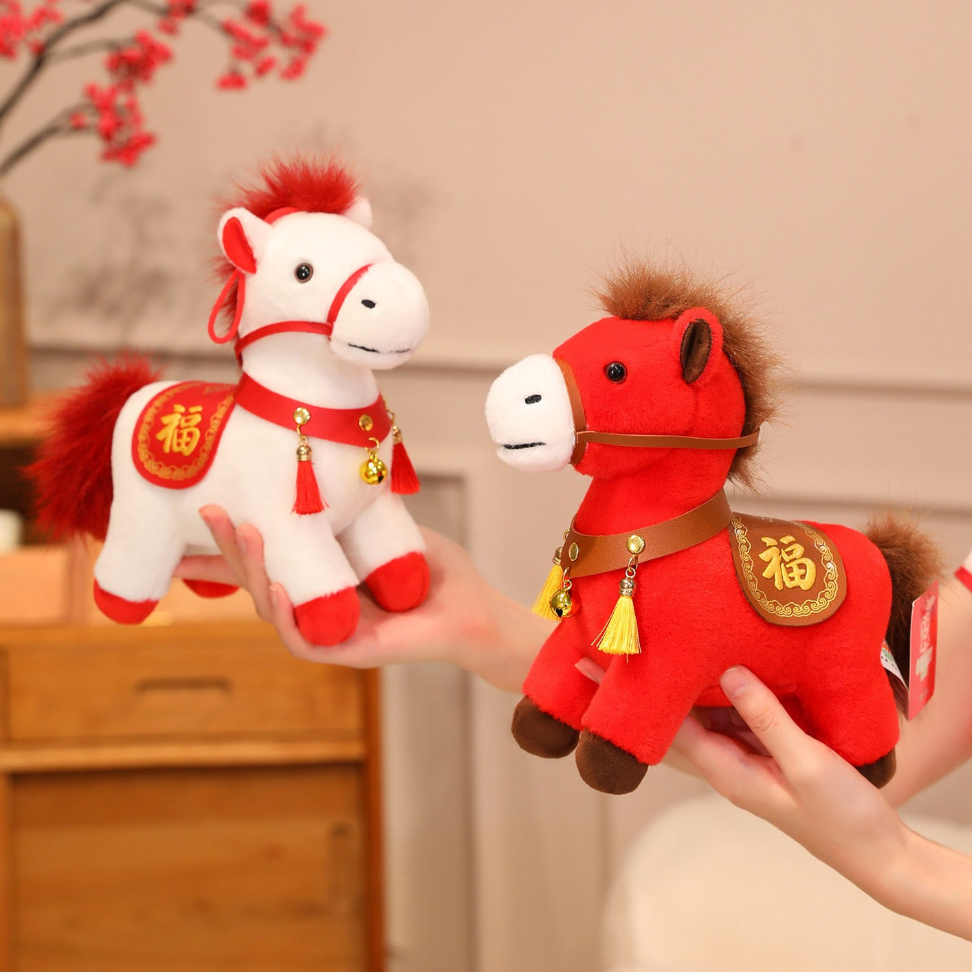 A Little Pony for Big Dreams! Decorations
