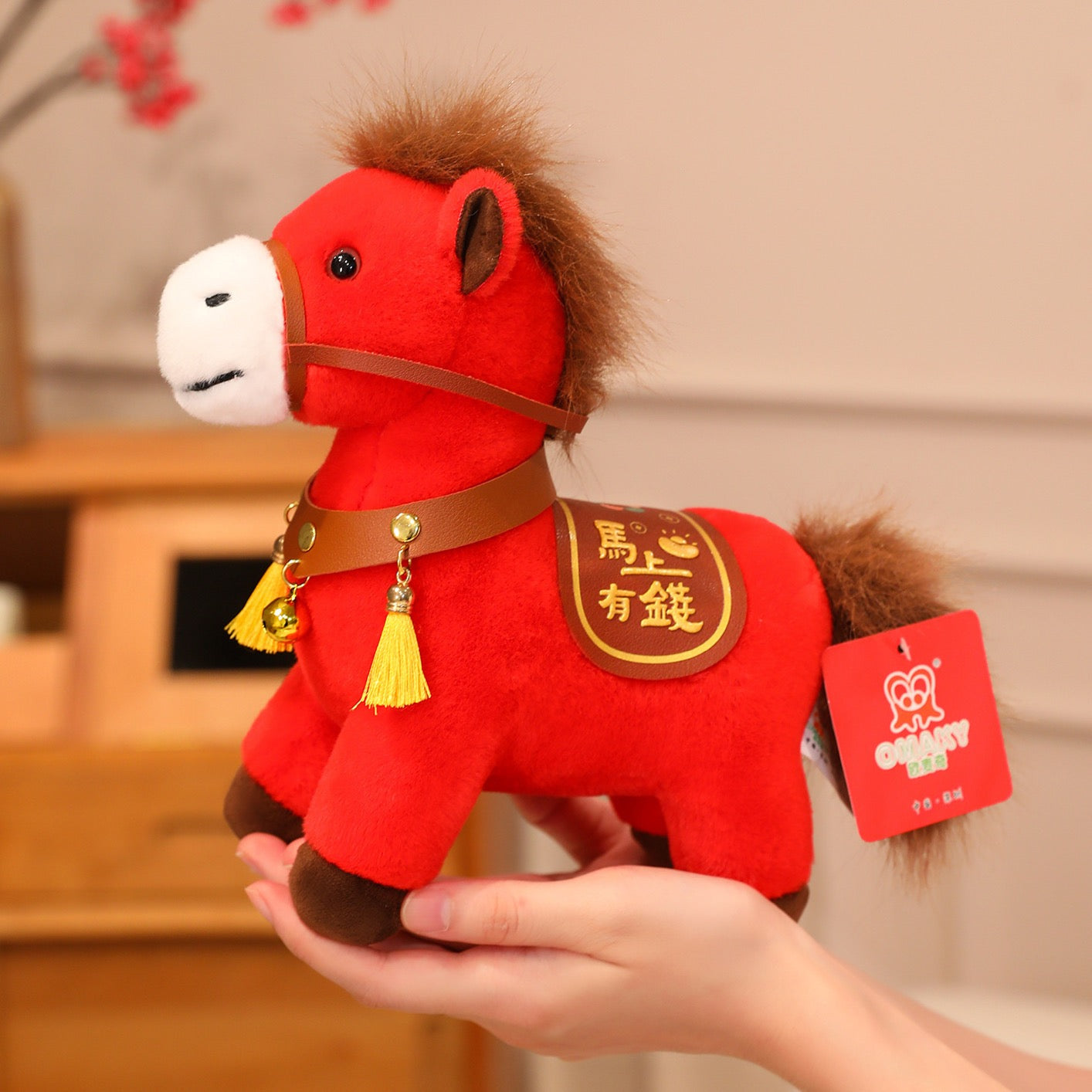A Little Pony for Big Dreams! Decorations